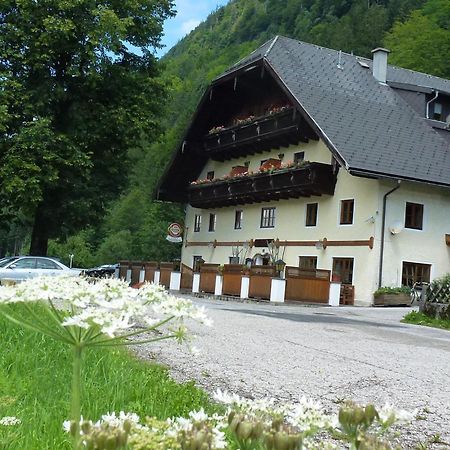 Gasthof Steinbraeu فيستينو المظهر الخارجي الصورة